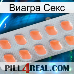 Виагра Секс 26